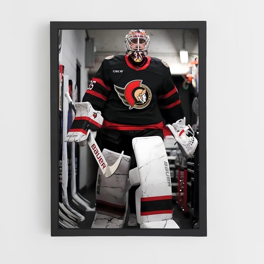 Poster L'Esprit des Sénateurs – affiche Hockey sur glace (vue 2)